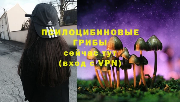 2c-b Алексин