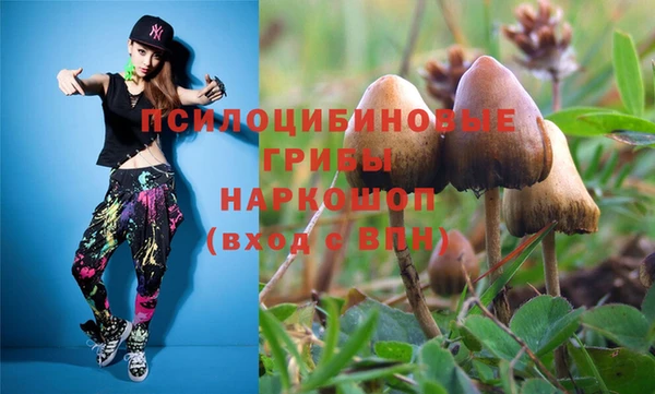 2c-b Алексин