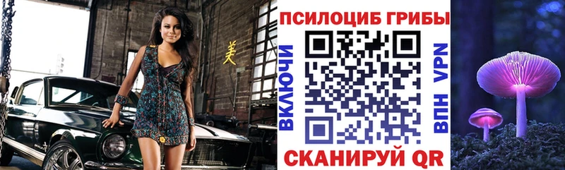 площадка как зайти закладки Апрелевка Псилоцибиновые грибы Psilocybe