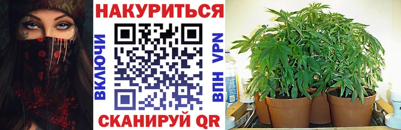Бошки марихуана SATIVA & INDICA  купить наркотик  Апрелевка 